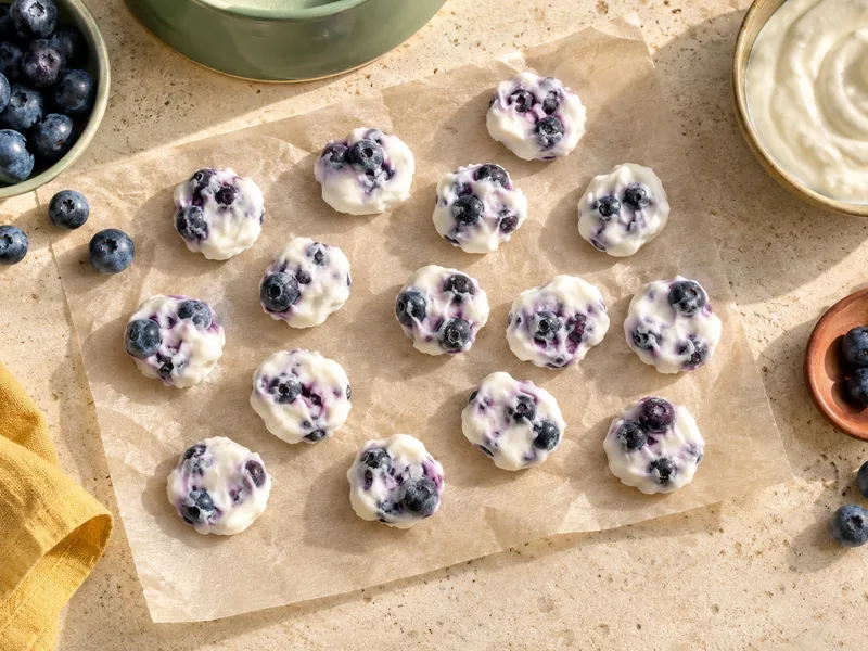 Blueberry Yogurt Drops, homemade dog treats